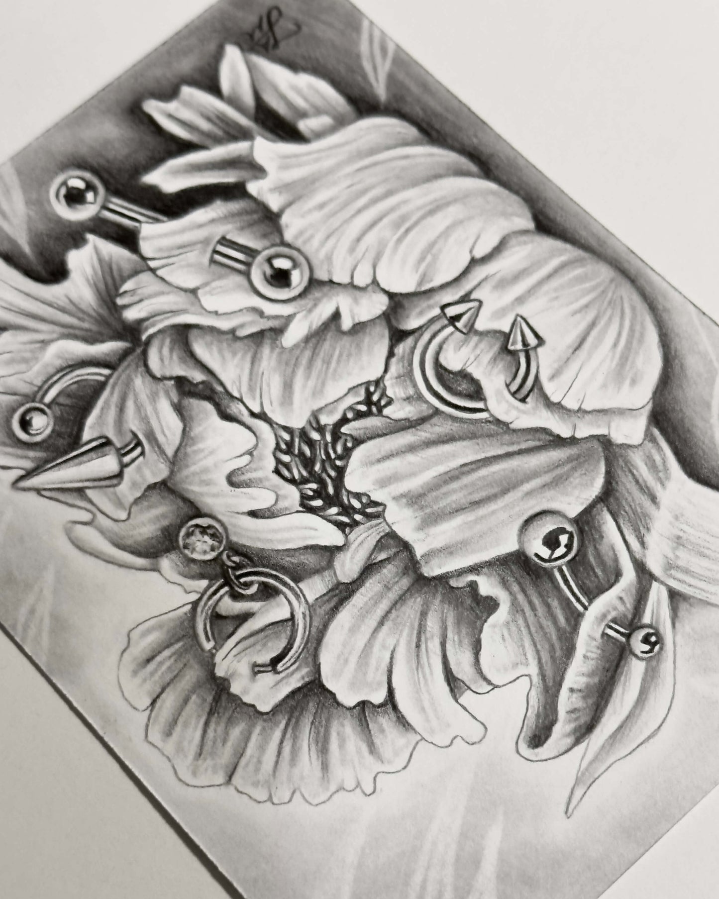 “Pierced Peony II” Mini Original Graphite Drawing