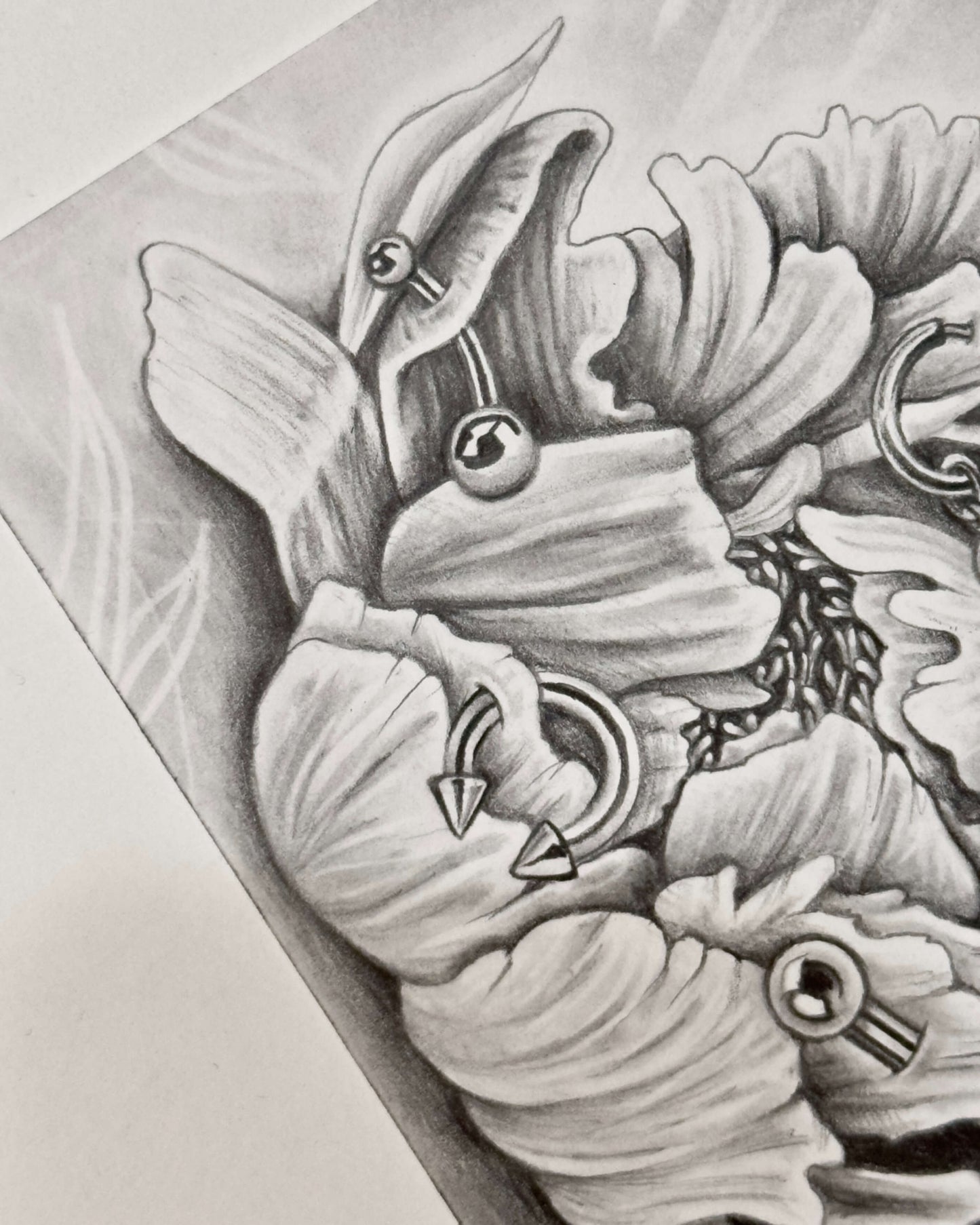 “Pierced Peony II” Mini Original Graphite Drawing