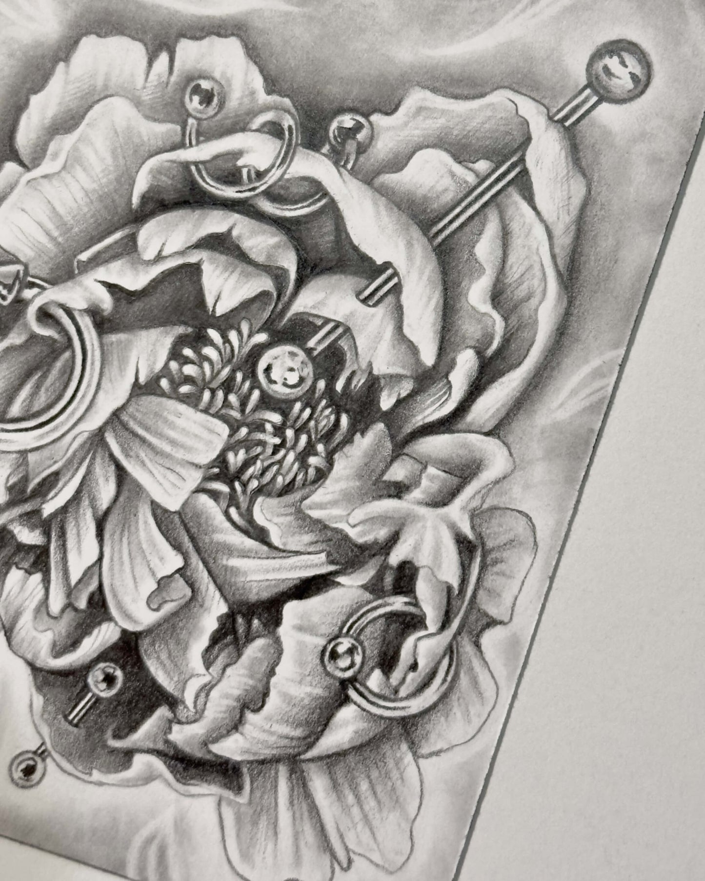 “Pierced Peony I” Mini Original Graphite Drawing