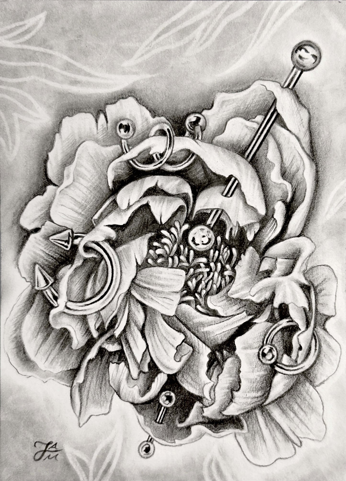 “Pierced Peony I” Mini Original Graphite Drawing
