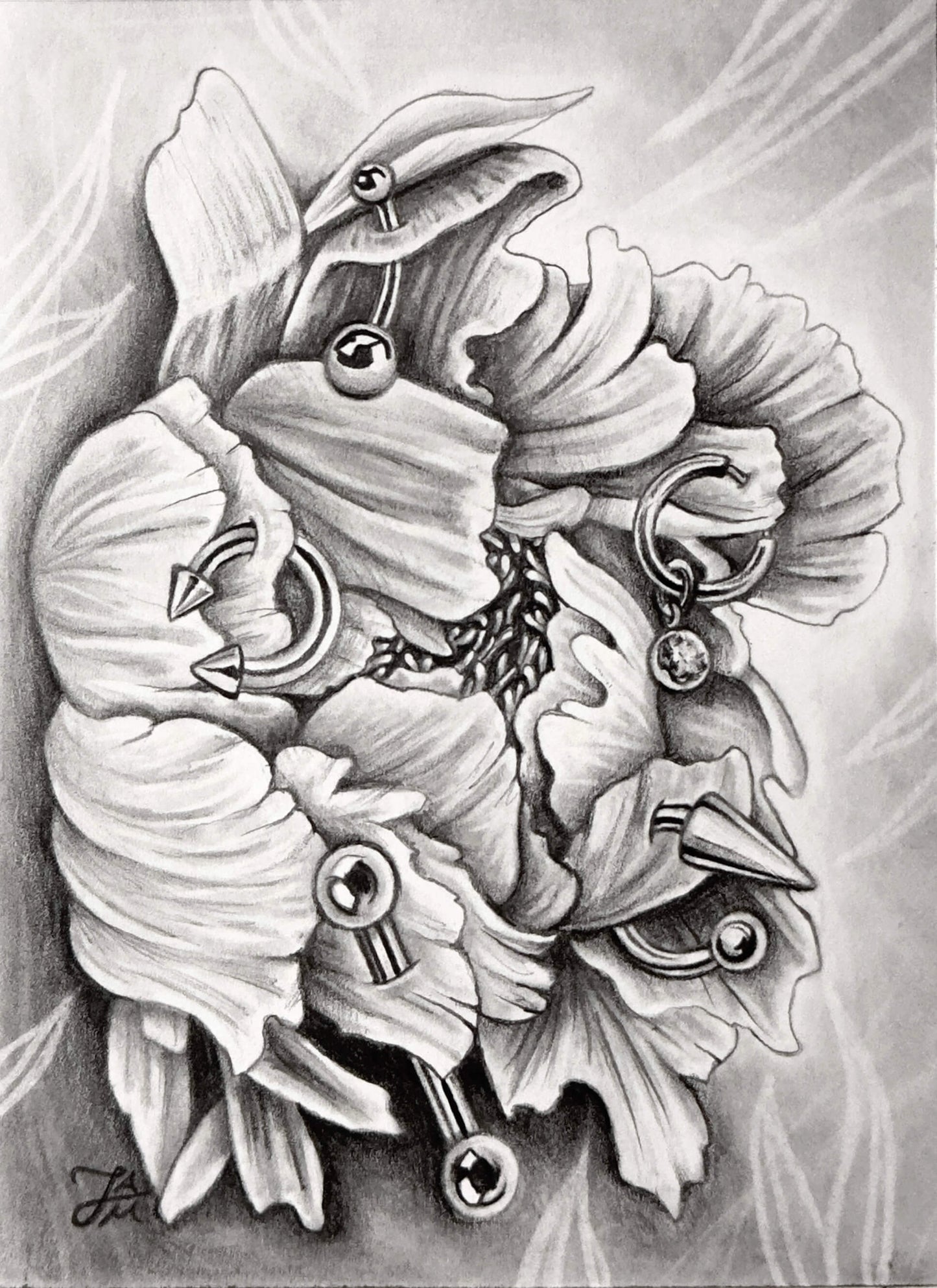 “Pierced Peony II” Mini Original Graphite Drawing