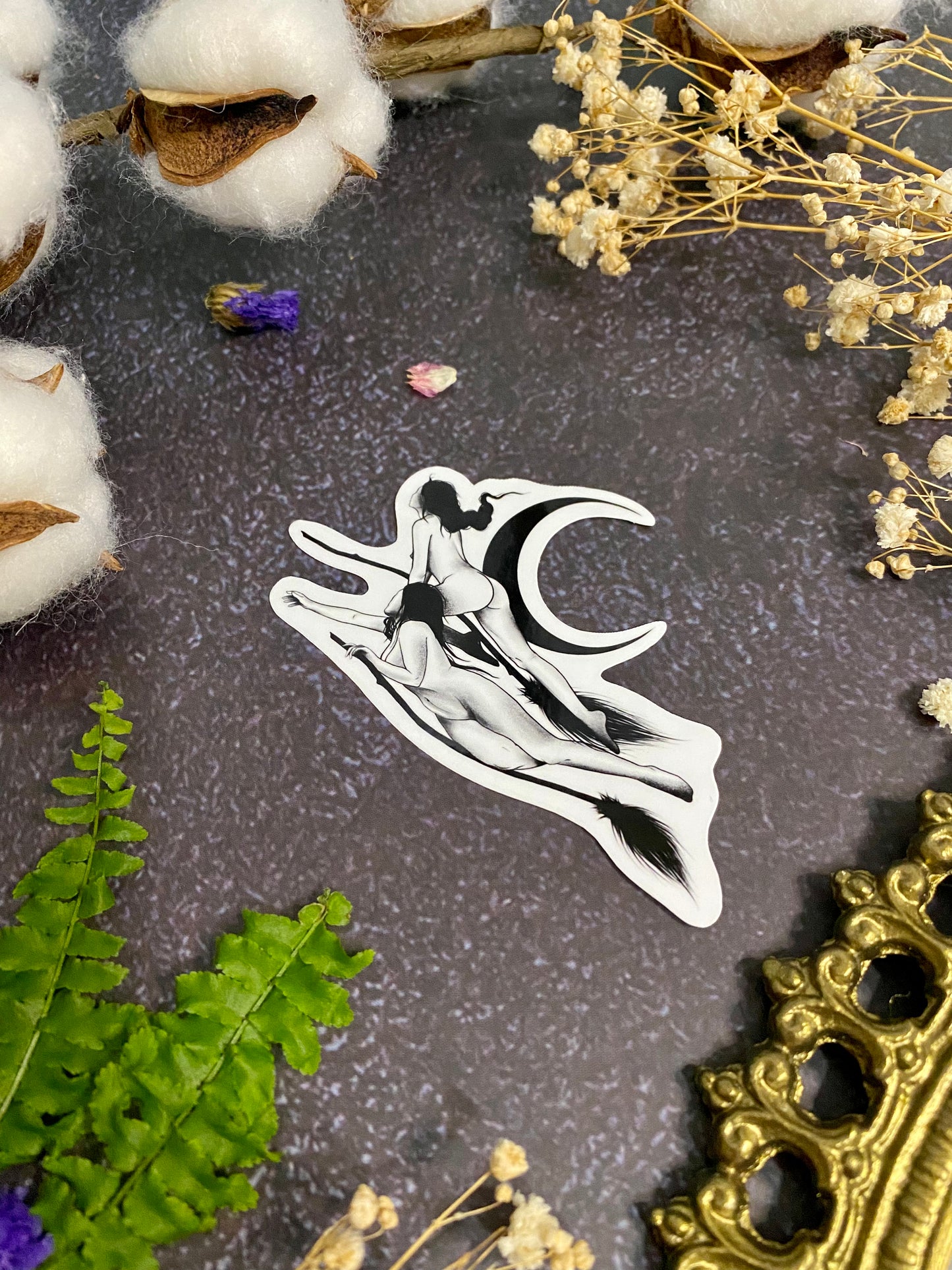 Witches in the Sky Sticker